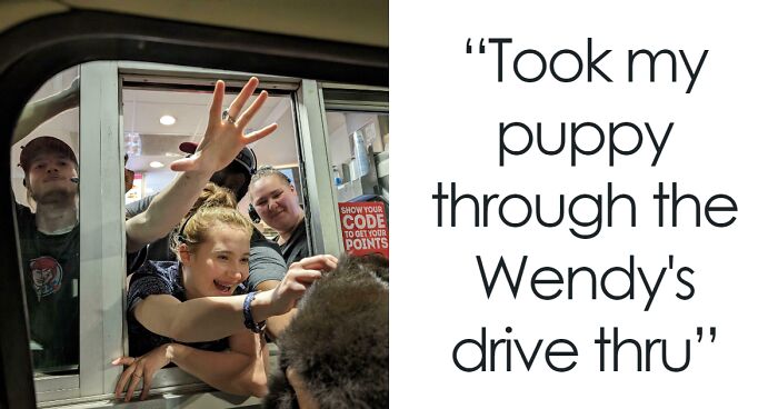 50 Times Animals Were Being So Cute, People Just Had To Snap A Pic (New Pics)