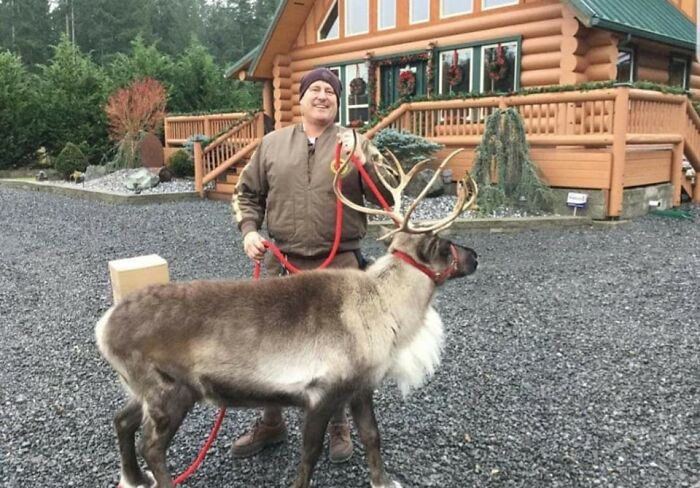 Merry Christmas From UPS Dogs