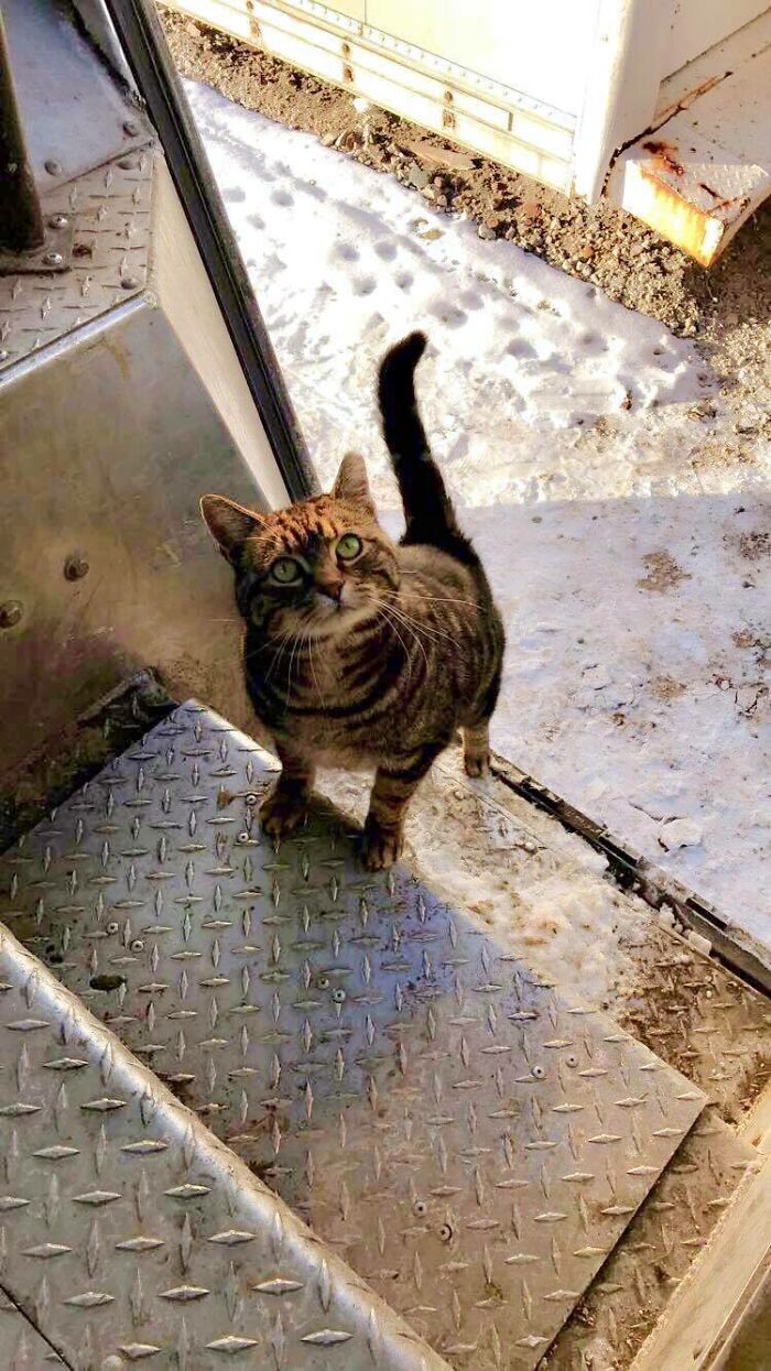 Not A Dog, But This Little Guy Comes Running Up Everyday For A Snack. Brent Medina, Ohio