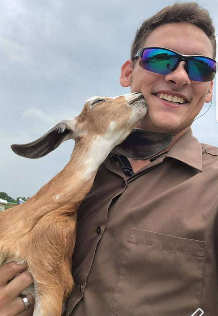 She Loves Being Carried By The UPS Man And Snuggled Up. Louisville, Kentucky