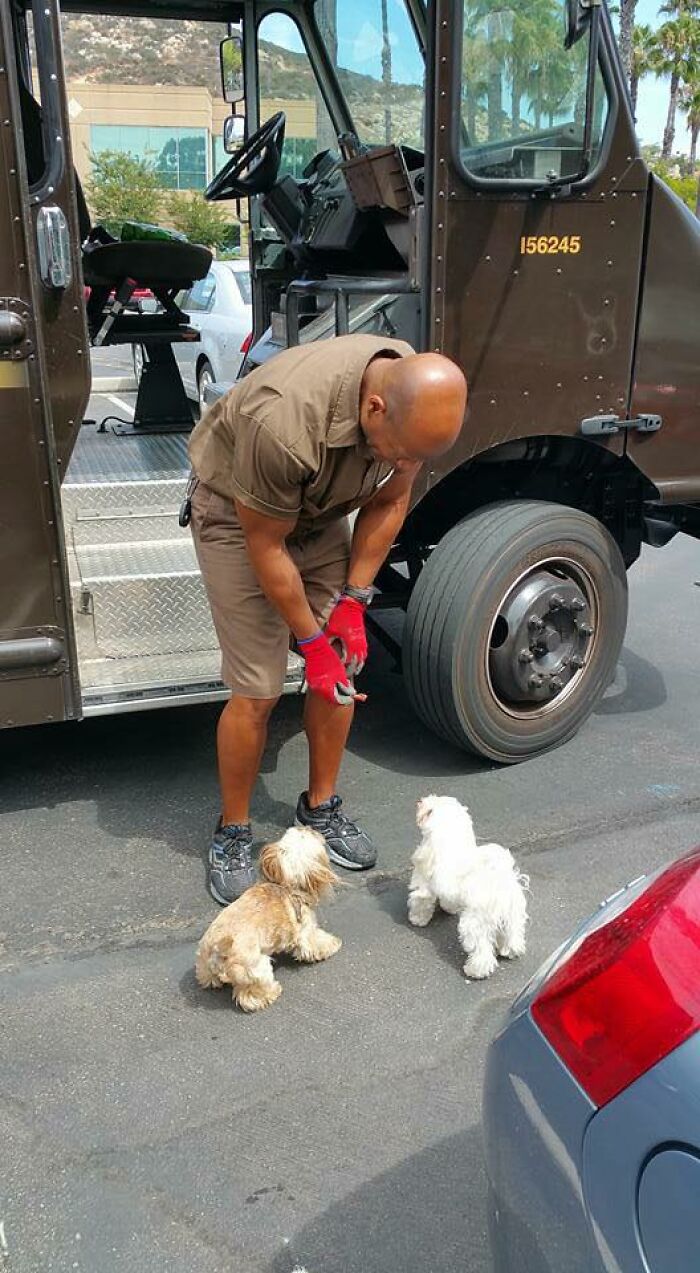Gizmo And Leo Love Our UPS Driver