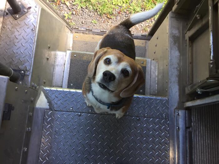 Game Over. I’m Done. She Gets The Whole Damn Box Of Biscuits