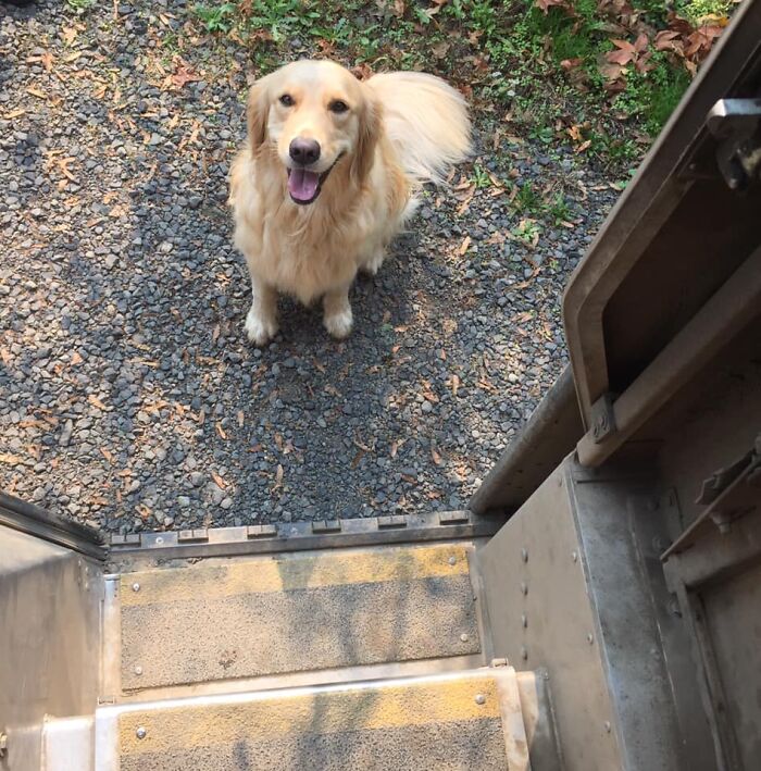 She Knows All About Three Biscuit Thursday