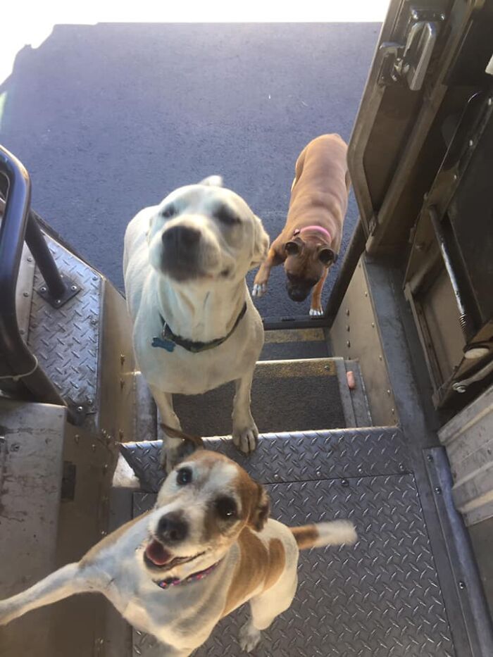 Resistance Is Futile