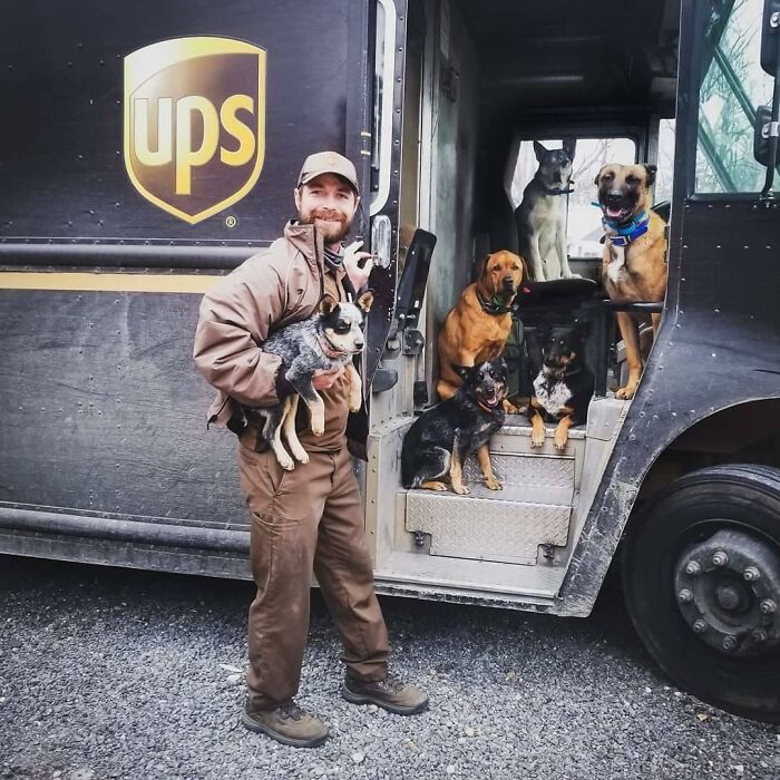 My Husband With Our 6 Pups! He Had Our Route And The Pups Were So Excited To See Him