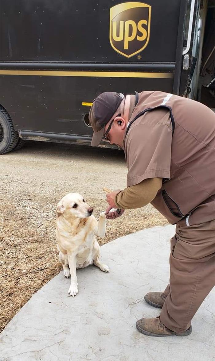 Mandy Barks Like Crazy When Carlos Drives Into The Yard, She Waits Expectantly For Him To Step Out Of The Truck