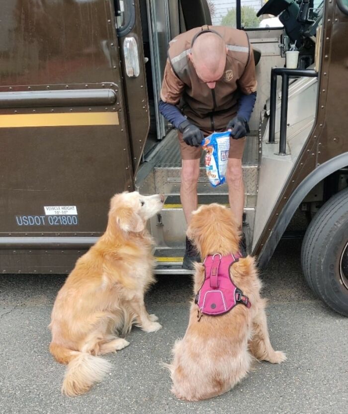 One Of My Boys (14yr Old Littermates) But Our UPS Driver Stops By - Even When He Doesn't Have A Package To Deliver, And My Dog Wags His Tail, And Gets All Happy ! Can Barely Walk, But Makes It To The Truck