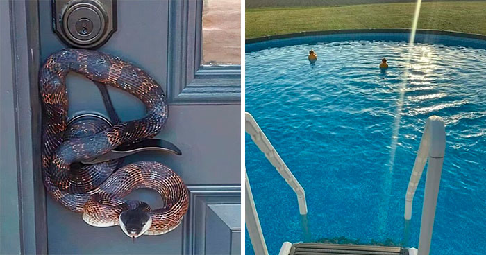 50 Unsettling Images To Leave You With That Eerie Feeling