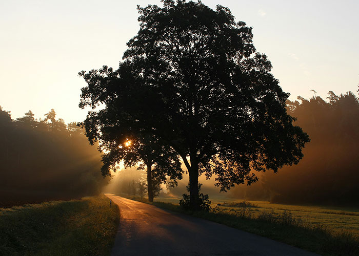 30 Times Strangers Passing By Said The Weirdest Things