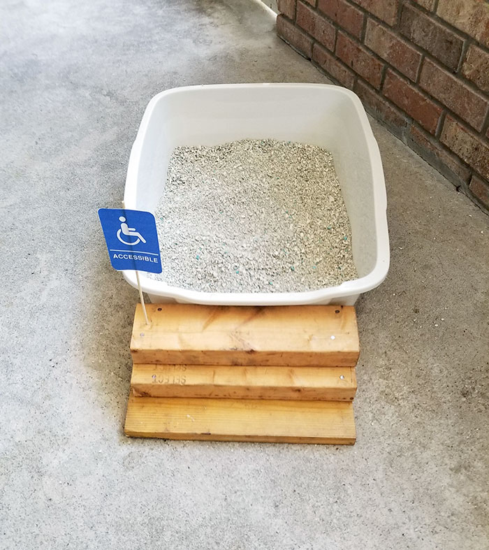 My Parent's Cat Got Hurt, So My Dad Made Him Some Steps For His Litter Box