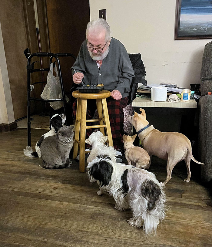 My Dad Who Secretly "Doesn't Feed" The Dogs