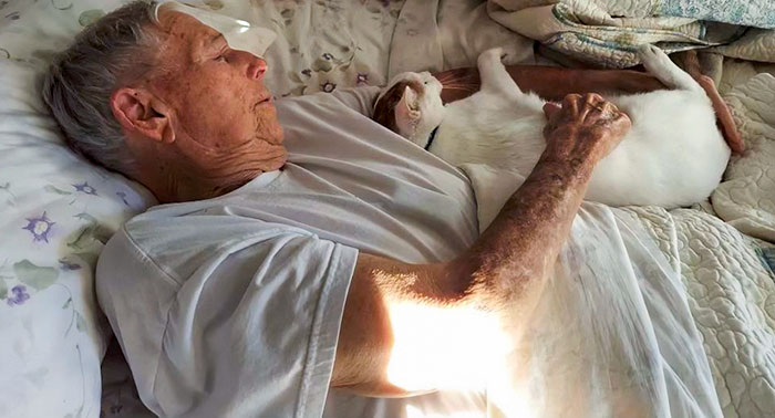 My Stepmom Adopted A Cat For Her Elderly Parents. We Were Nervous Her Dad Wouldn’t Like Him, But Here They Are