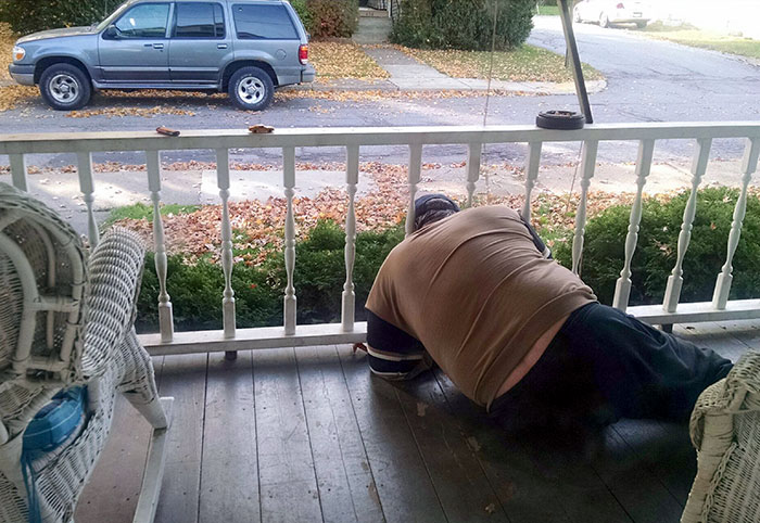 My Dad Got His Head Stuck In The Porch Yesterday While Trying To Feed A Dead Bee To A Spider That Lives In The Bush