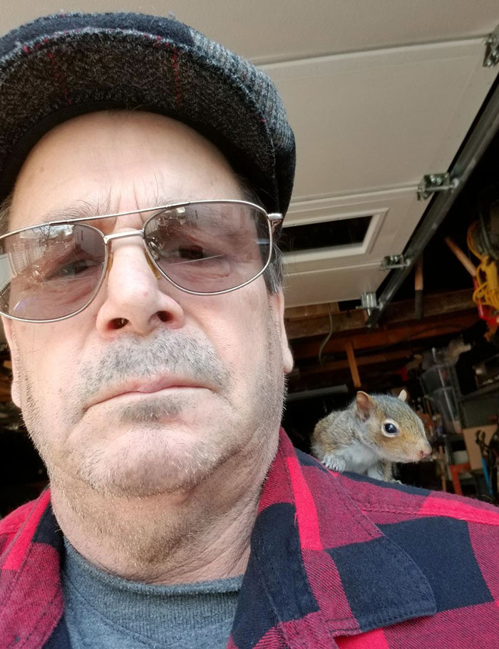 The Other Day, My Dad Called Me And Told Me His Golden Retriever Found A Baby Squirrel That Was Half Alive In The Yard. He Rescued It And Fed It. This Is Them A Few Days Later