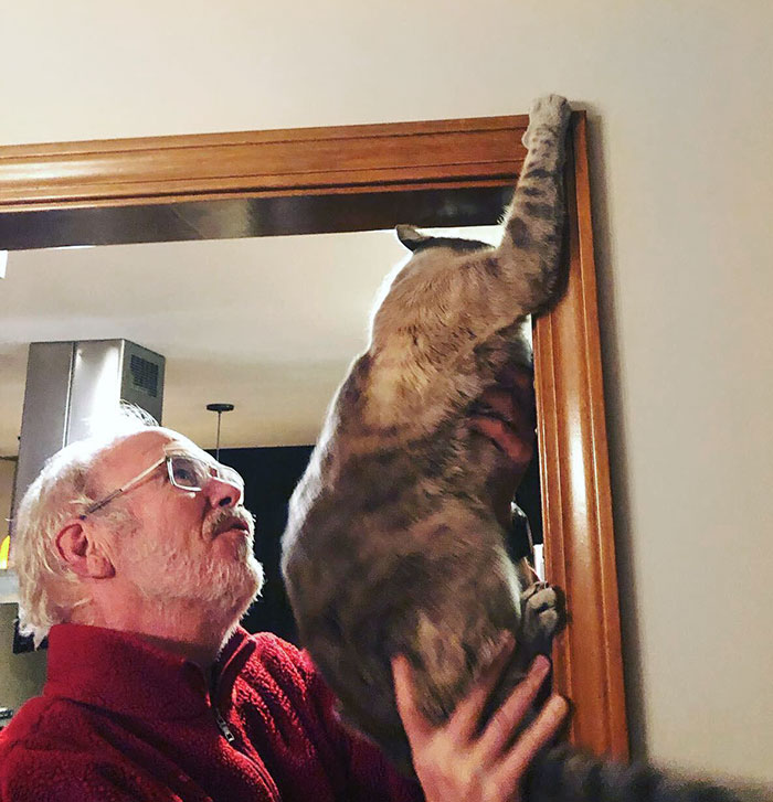 My Dad Helping My Cat Reach A Bug He'd Been Stalking