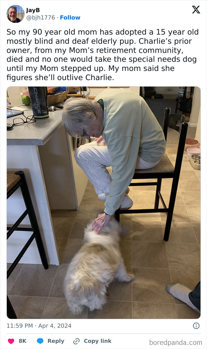 It’s Such A Great Thing She Did For That Dog