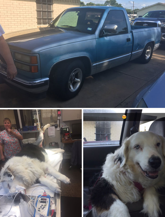 I Sold My Truck To Pay For Her Surgery