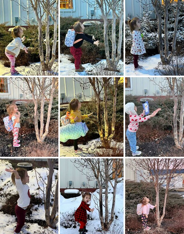 Our Daughter Is Obsessed With This Tree At Her Daycare. She Says Goodbye To It Every Day. Once She Even Showed It Some Artwork She Made