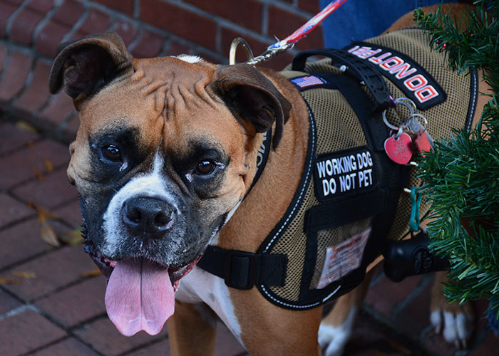 “Total Waste Of Money”: 30 Of The Worst Purchases Folks Online Ever Made