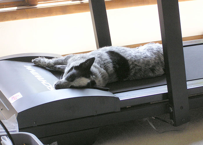 “Total Waste Of Money”: 30 Of The Worst Purchases Folks Online Ever Made