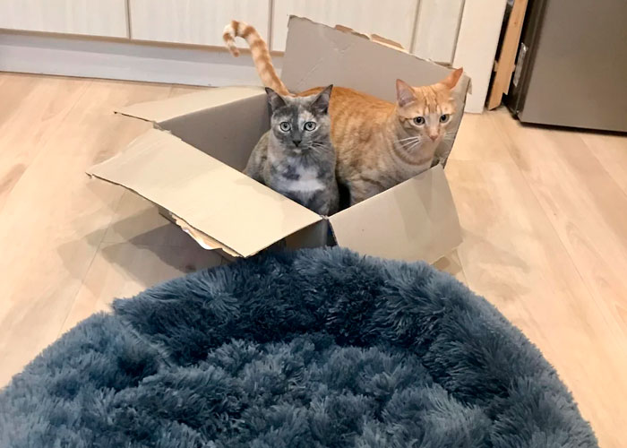 “Total Waste Of Money”: 30 Of The Worst Purchases Folks Online Ever Made