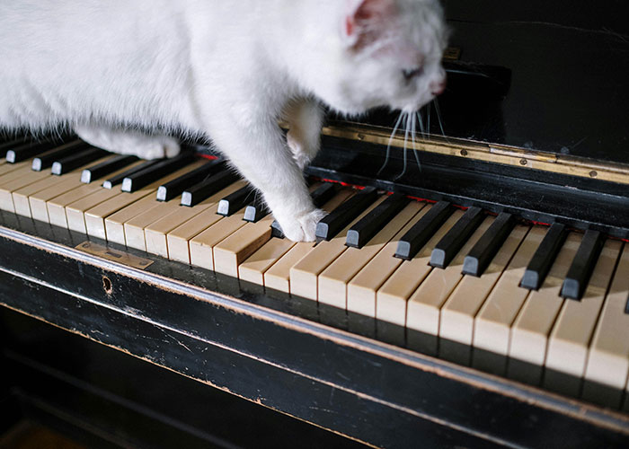 “Total Waste Of Money”: 30 Of The Worst Purchases Folks Online Ever Made