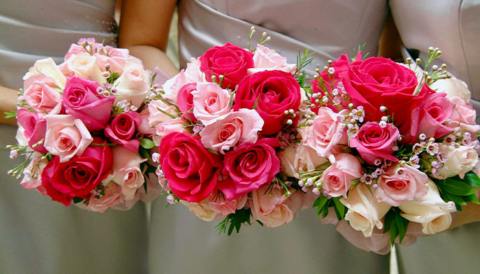 “I’m Sure You’ve Been Budgeting”: Bride Asks Best Friend To Take Out $20k Loan For Wedding Expenses “I’m Sure You’ve Been Budgeting”: Bride Asks Best Friend To Take Out $20k Loan For Wedding Expenses