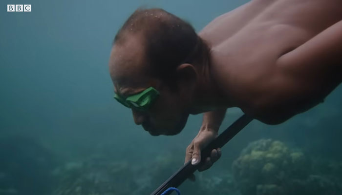Bajau People Can Hold Their Breath For 13 Minutes Underwater Thanks To Rare Gene Bajau People Can Hold Their Breath For 13 Minutes Underwater Thanks To Rare Gene