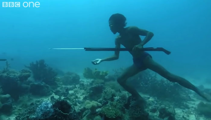 Bajau People Can Hold Their Breath For 13 Minutes Underwater Thanks To Rare Gene Bajau People Can Hold Their Breath For 13 Minutes Underwater Thanks To Rare Gene