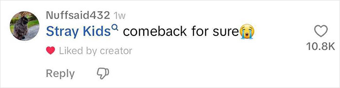 Comment on TikTok from user Nuffsaid432 expressing excitement about Stray Kids comeback with crying emoji, liked by creator.