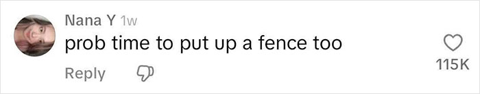 Screenshot of a social media comment suggesting to put up a fence after strangers start having a picnic in a yard.