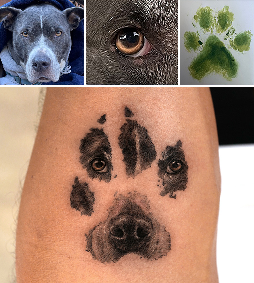 Realistic pet tattoo of a dog's face and eyes, capturing details on skin, with an inset of the actual pet’s photo and an ink paw print.