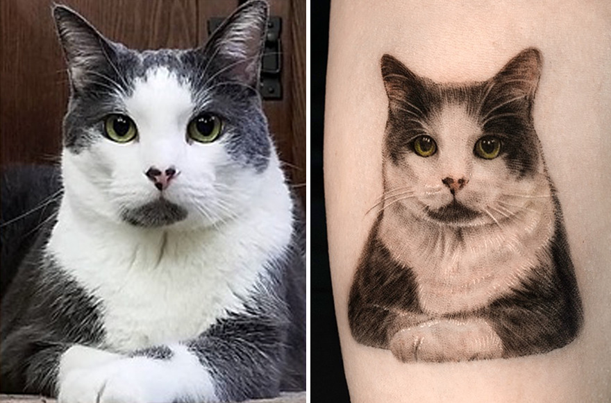 Realistic pet portrait tattoo next to gray and white cat with green eyes.