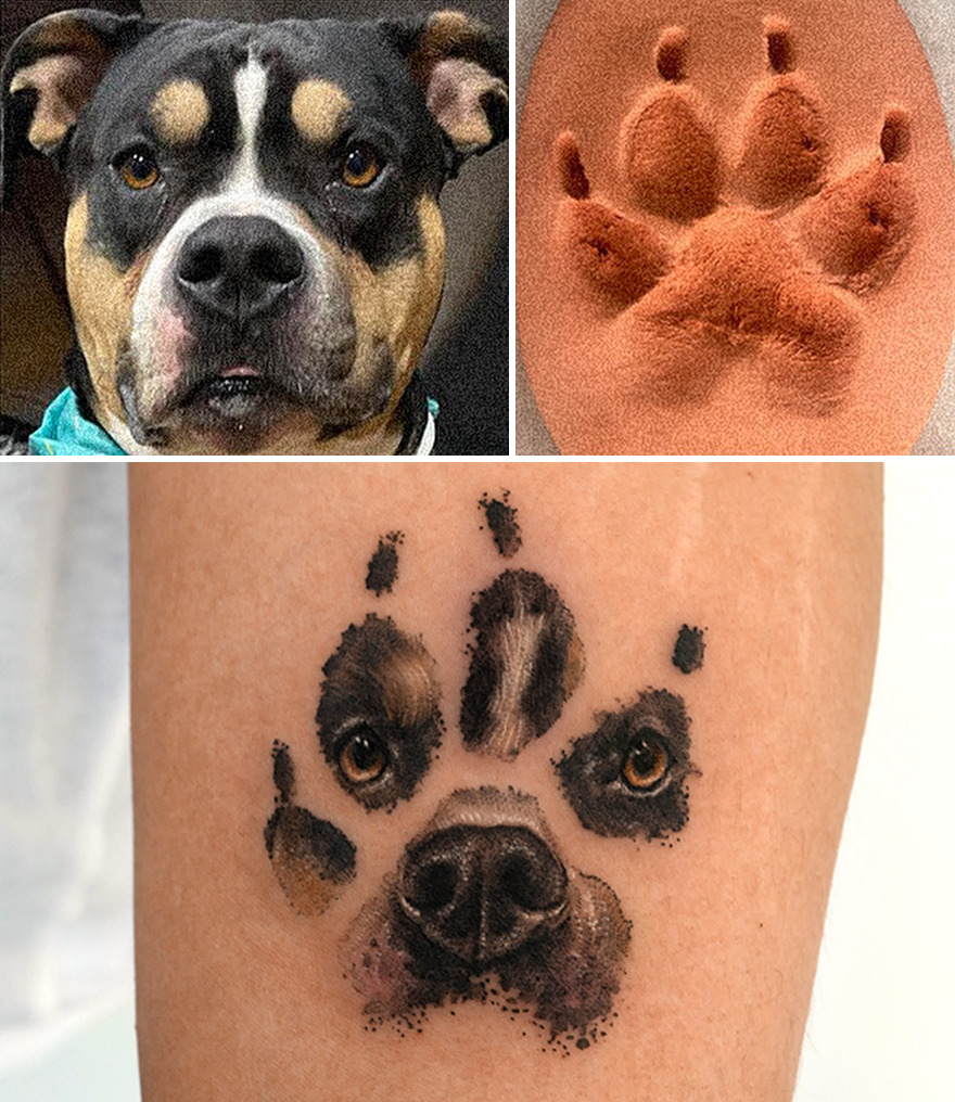 Realistic pet portrait tattoo featuring a dog's face and paw print, cherished by its owner.