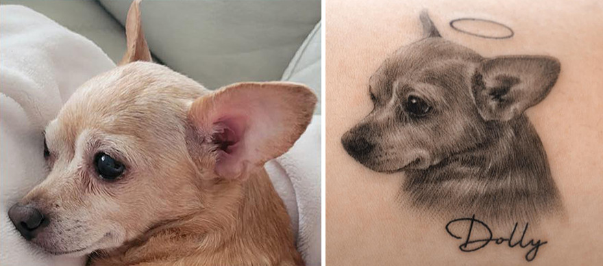 Realistic portrait tattoo of a dog named Dolly, featuring a halo above the pet's head, next to the real dog.