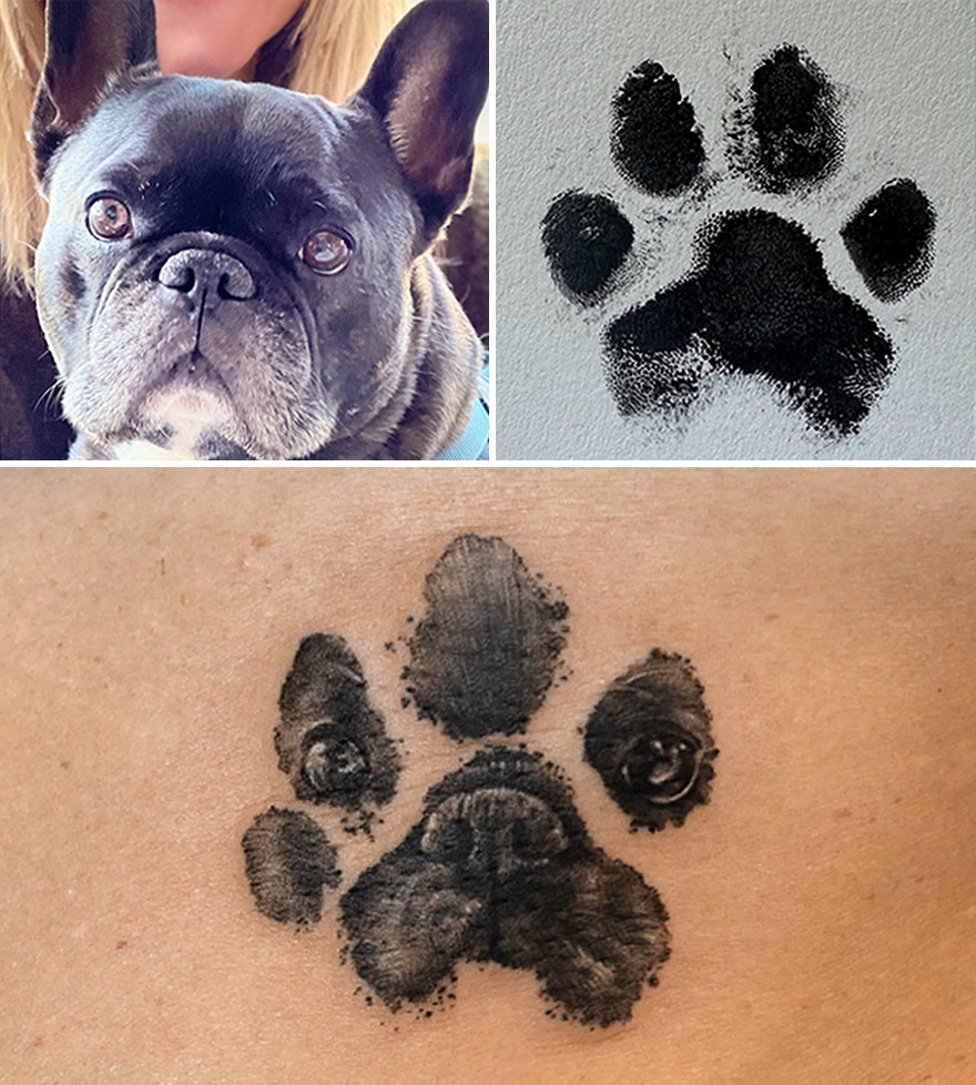 Realistic pet portrait tattoo featuring a dog and its paw print on skin.