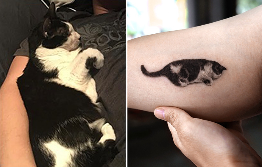 Realistic pet portrait tattoo of a sleeping black-and-white cat on a person's arm.