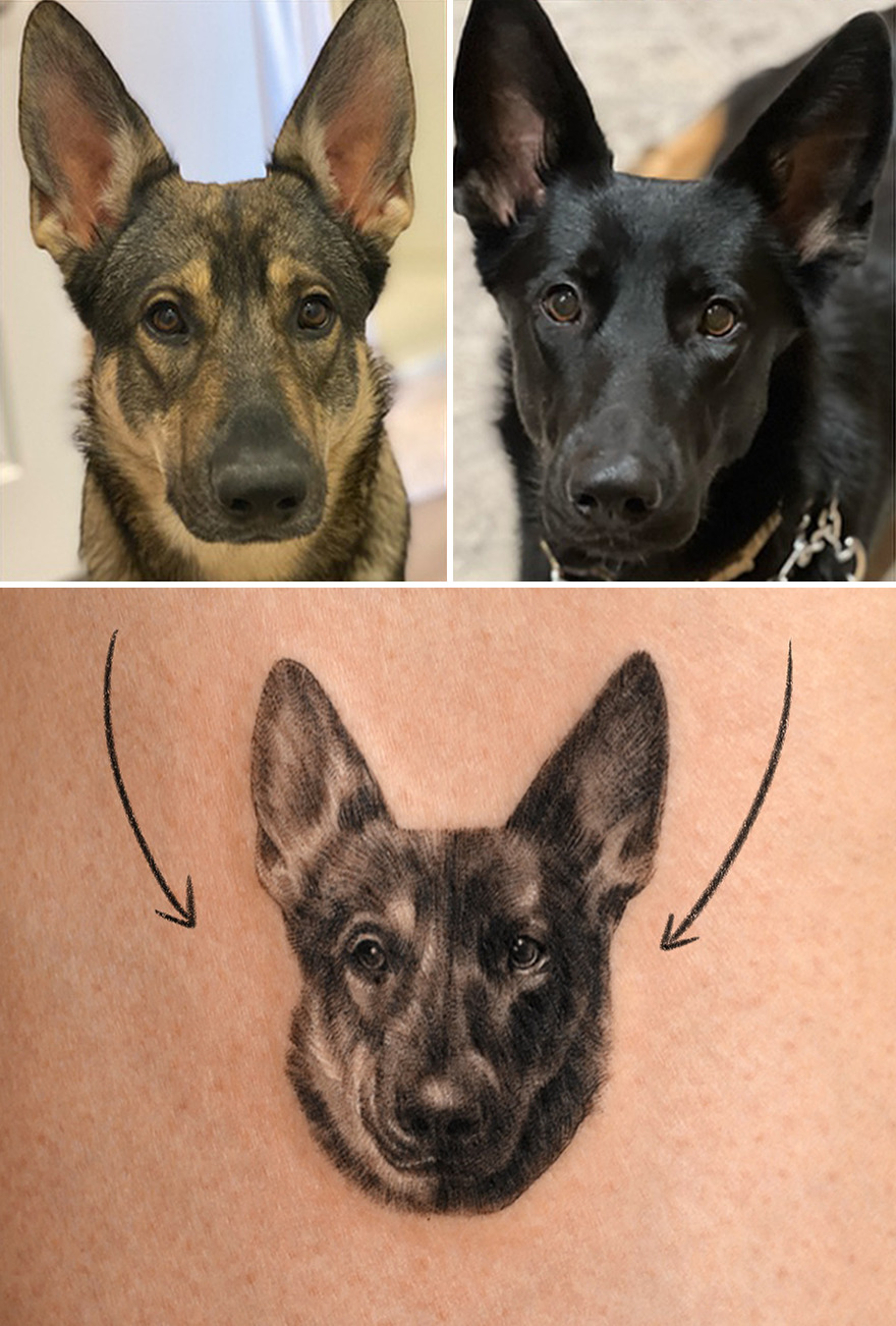 Realistic pet portrait tattoo featuring two dogs.