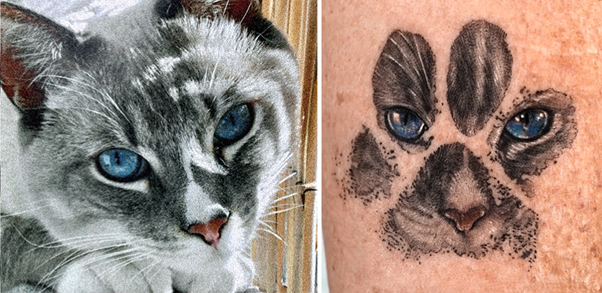 Realistic pet portrait tattoo of a cat with blue eyes, capturing its unique features and expressions.