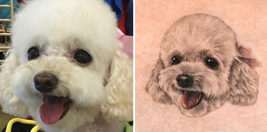 Realistic pet portrait tattoo next to a matching photo of a small fluffy white dog.
