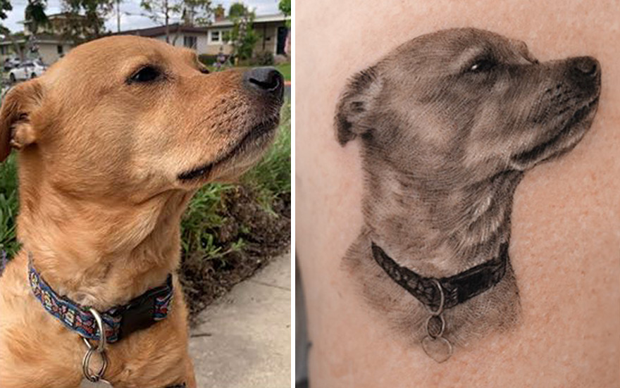 Realistic portrait tattoo of a dog next to the actual pet, showcasing detailed artistry.