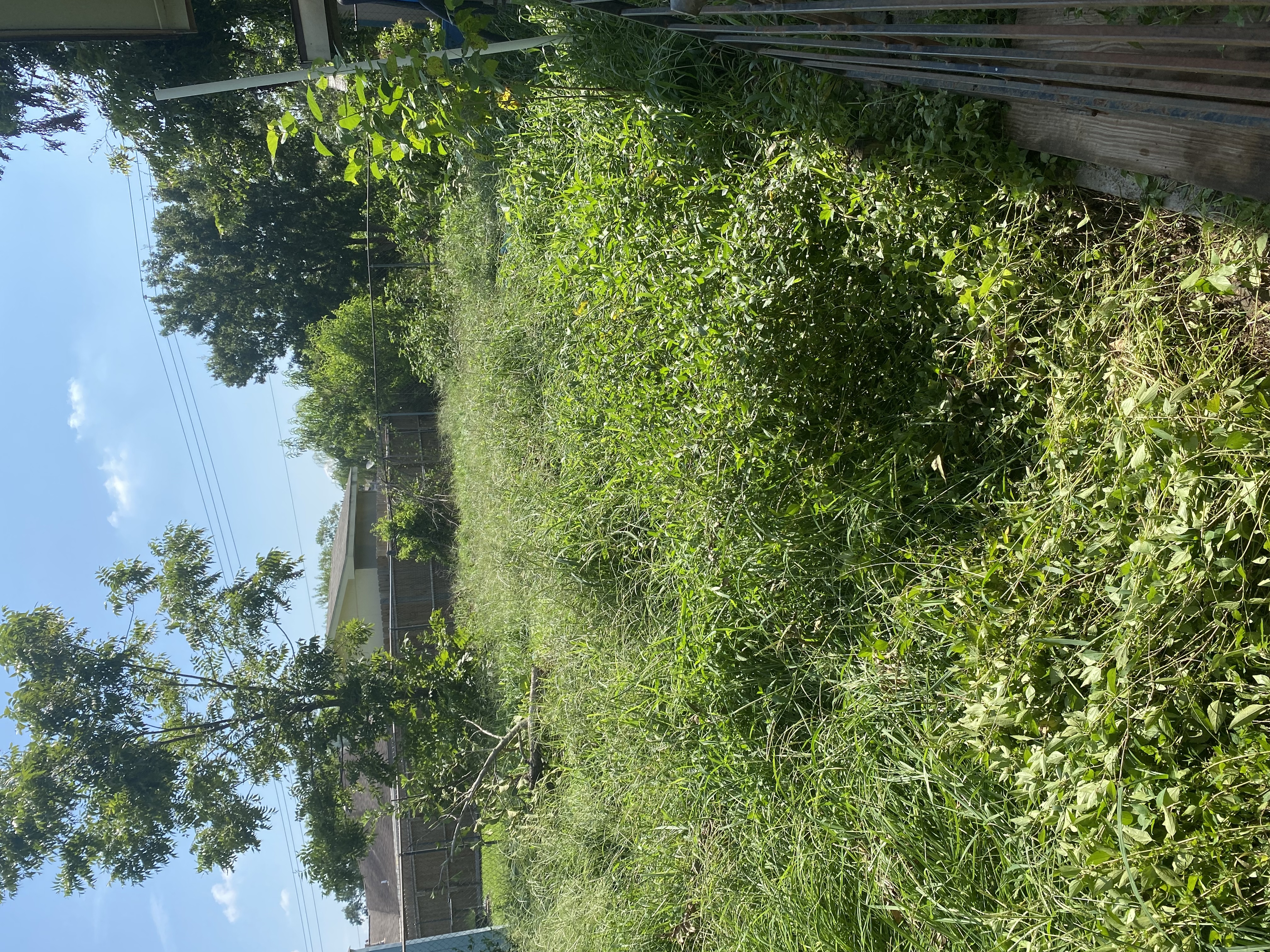 Be Aware Of Your Surroundings…