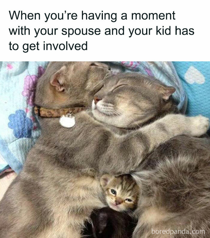 Funny-Parenting-Memes-Officialmoms