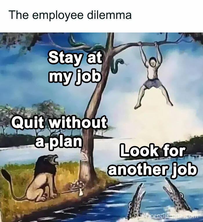 Funny-Work-Memes-Paddyjobsman