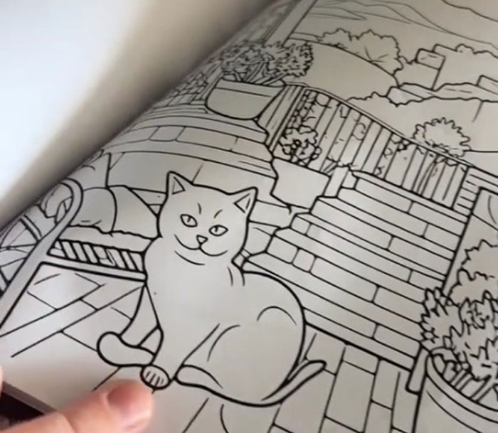 Woman Thinks She Bought A &ldquo;Normal&rdquo; Kitty Coloring Book, Starts Noticing Odd Things About It