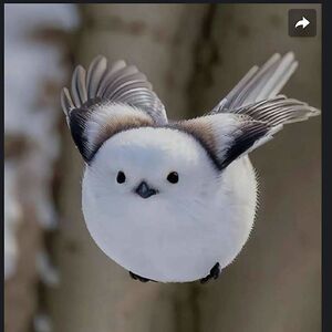 mattgilliam82 avatar