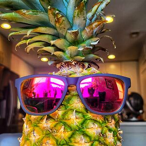 burnerburnsy2 avatar