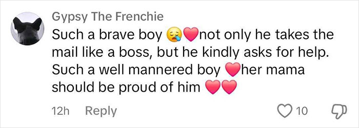 Amazon Driver Saves Woman After Her &ldquo;Brave&rdquo; Toddler Son Asks For Help