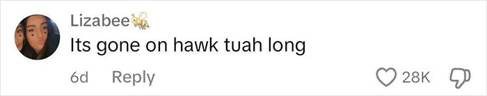 Comment about Hailey Welch's appearance, mentioning "hawk tuah," with 28K likes and a bee emoji.