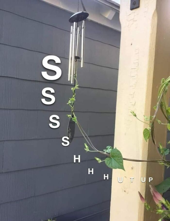 Wind chimes spell "Shh, Hush" on a wall with ivy, humorously emphasizing the relatable need for quiet.